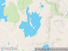 Map of Arthurs Lake area