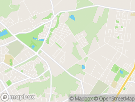 Map of Jackass Flat area