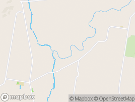 Map of Bushy Park area