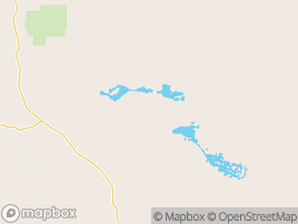 Map of Lake Darlot area