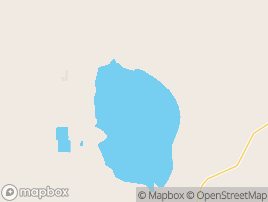 Map of Lake Cowal area