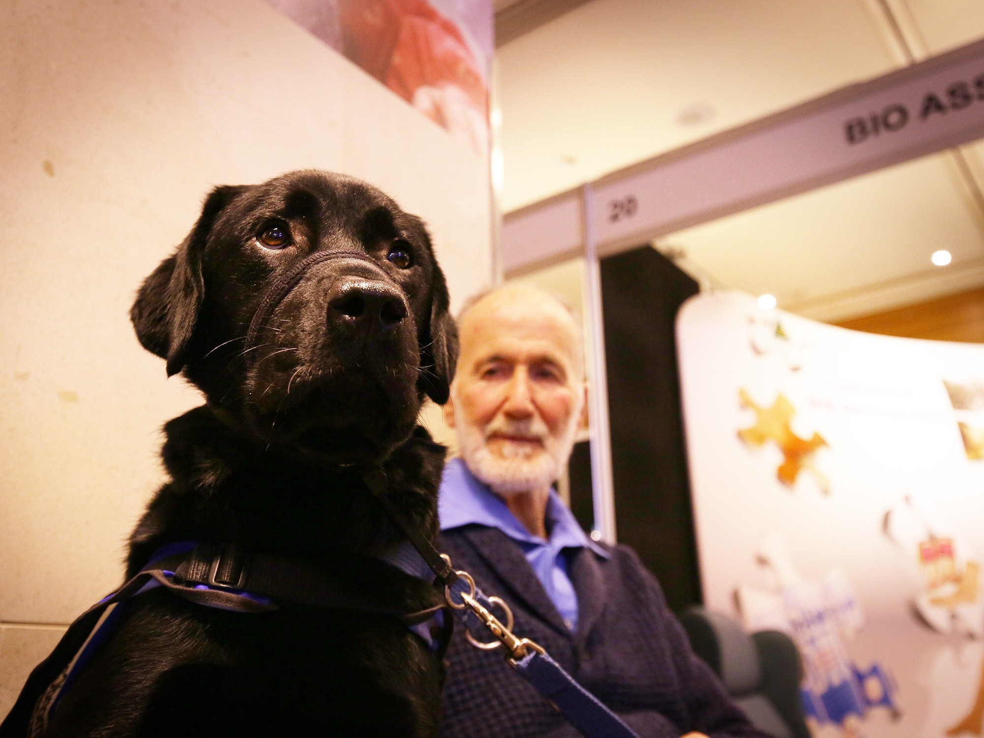 <p>Rolf and assistance dog Jiyu take part in the pilot study Dogs4Dementia.</p>
