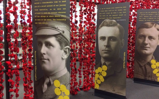 <p>The poppies are currently on display at Plaza Library, Werribee Victoria as part of the Writing the War exhibition</p>
