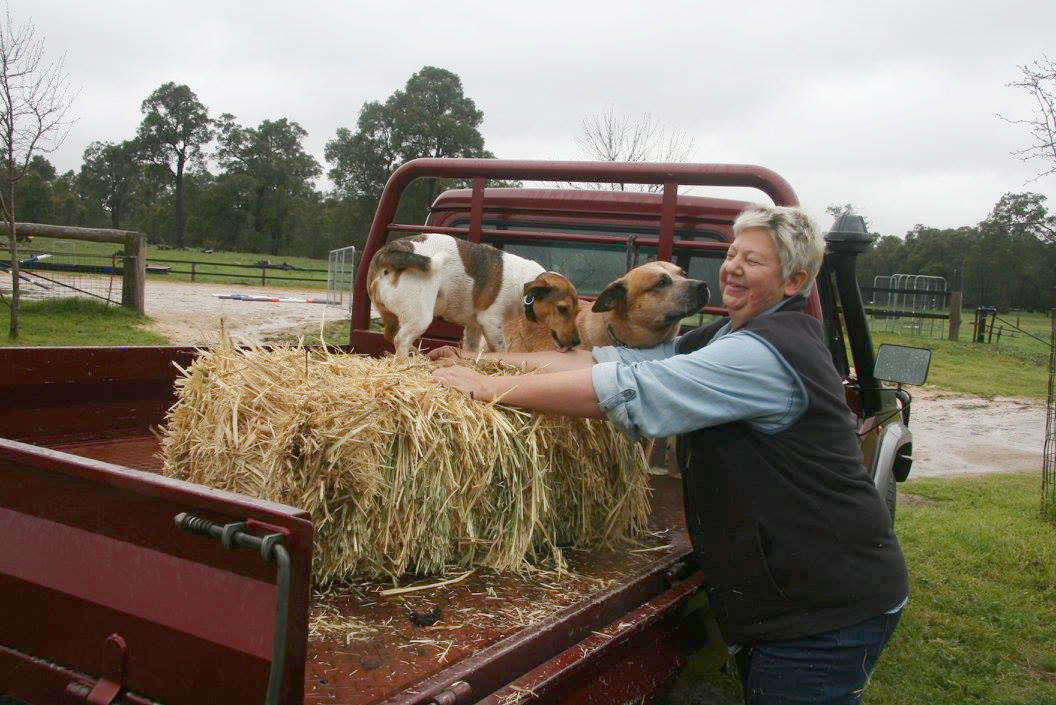<p>Costs and distance are an issue when it comes to providing home care services such as domestic or personal care says Country Mile Home Care Director of Care Services Ann Young</p>
