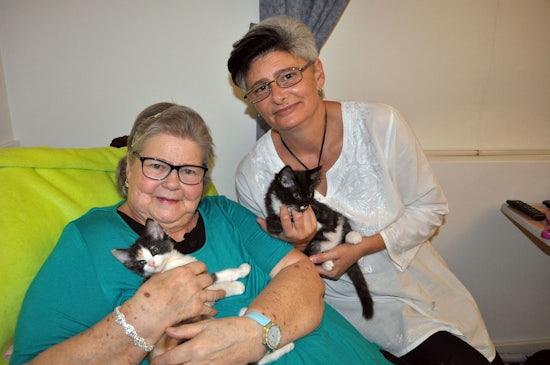 <p>Teresa and Cathy with the new resident kittens</p>
