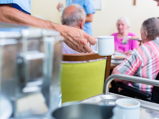 <p>The government has announced a new committee dedicated to improving the aged care workforce (Source: Shutterstock)</p>
