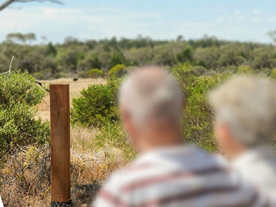 <p>Timber sleeper style memorials can be placed at Monarto Zoo to remember a loved one (Source: ZoosSA)</p>
