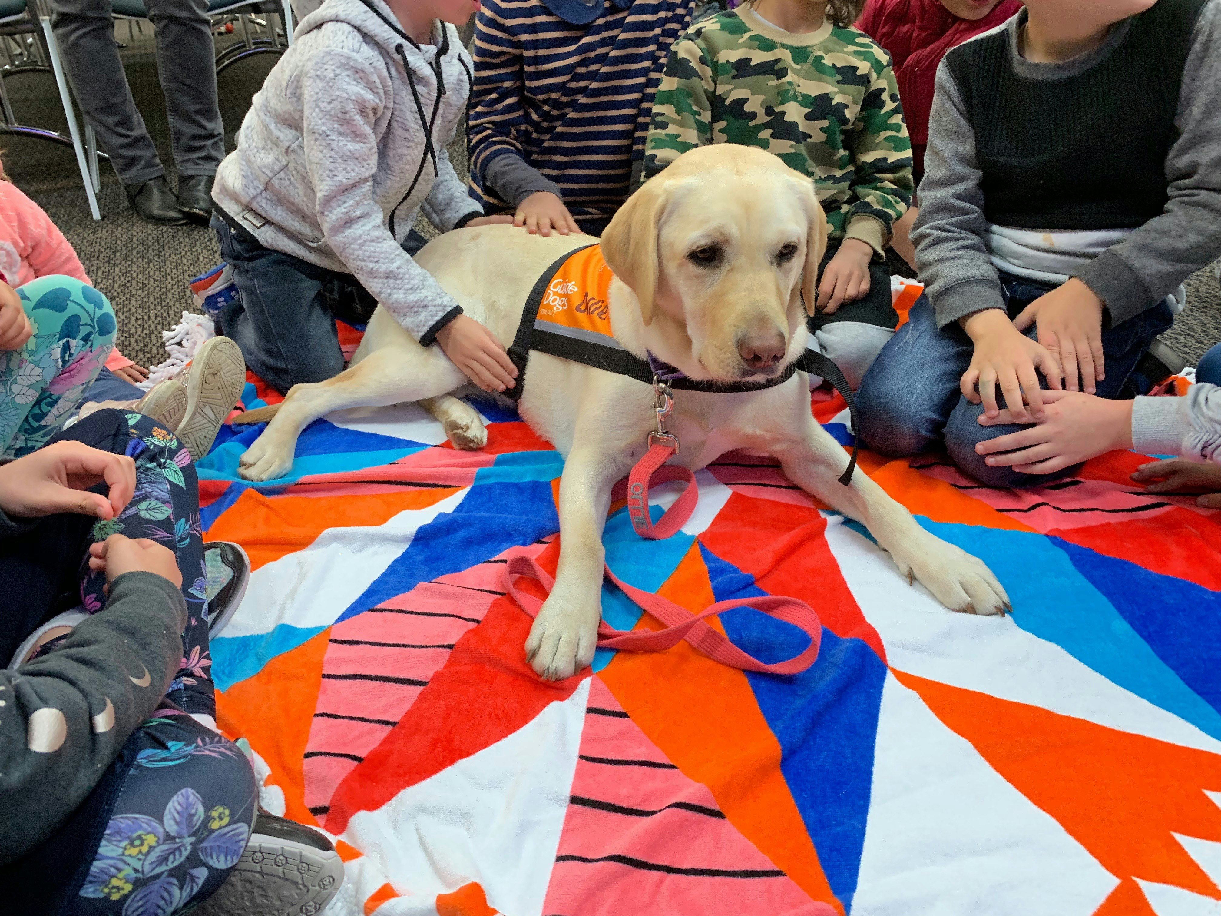Therapy Dog Ollie at a special ‘Reading with dogs’ event [Source: Guide Dogs NSW/ACT]
