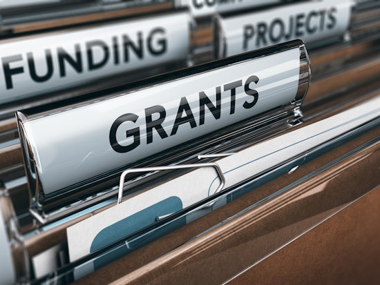 <p>Researcher Monica Cations has been allocated $20,000 in grant funding to work on her project (Source: Shutterstock)</p>
