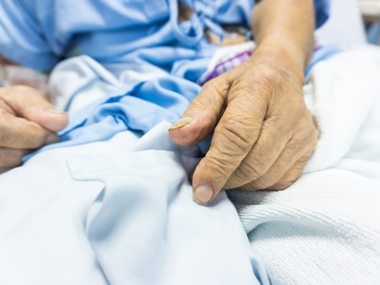 <p>The number of hospitalisations for palliative care has risen 28 percent between 2011 and 2016 (Source: Shutterstock)</p>
