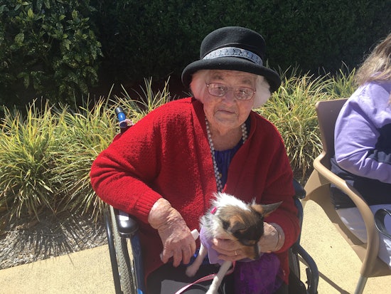 <p>Bishop Tyrrell resident Betty Turner celebrated Bring Your Pet to Work Day with her granddaughter’s dog, Dolly Bishop (Source: Eclipse Communications)</p>
