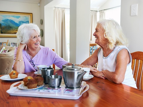 Link to Senior home share program shows potential article