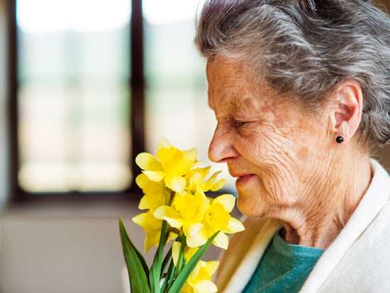 <p>Diminished odour identification may be a practical and affordable biomarker in Alzheimer’s pathology (Source: Shutterstock)</p>
