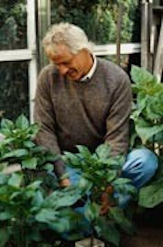 <p>Older workers more satisfied</p>
