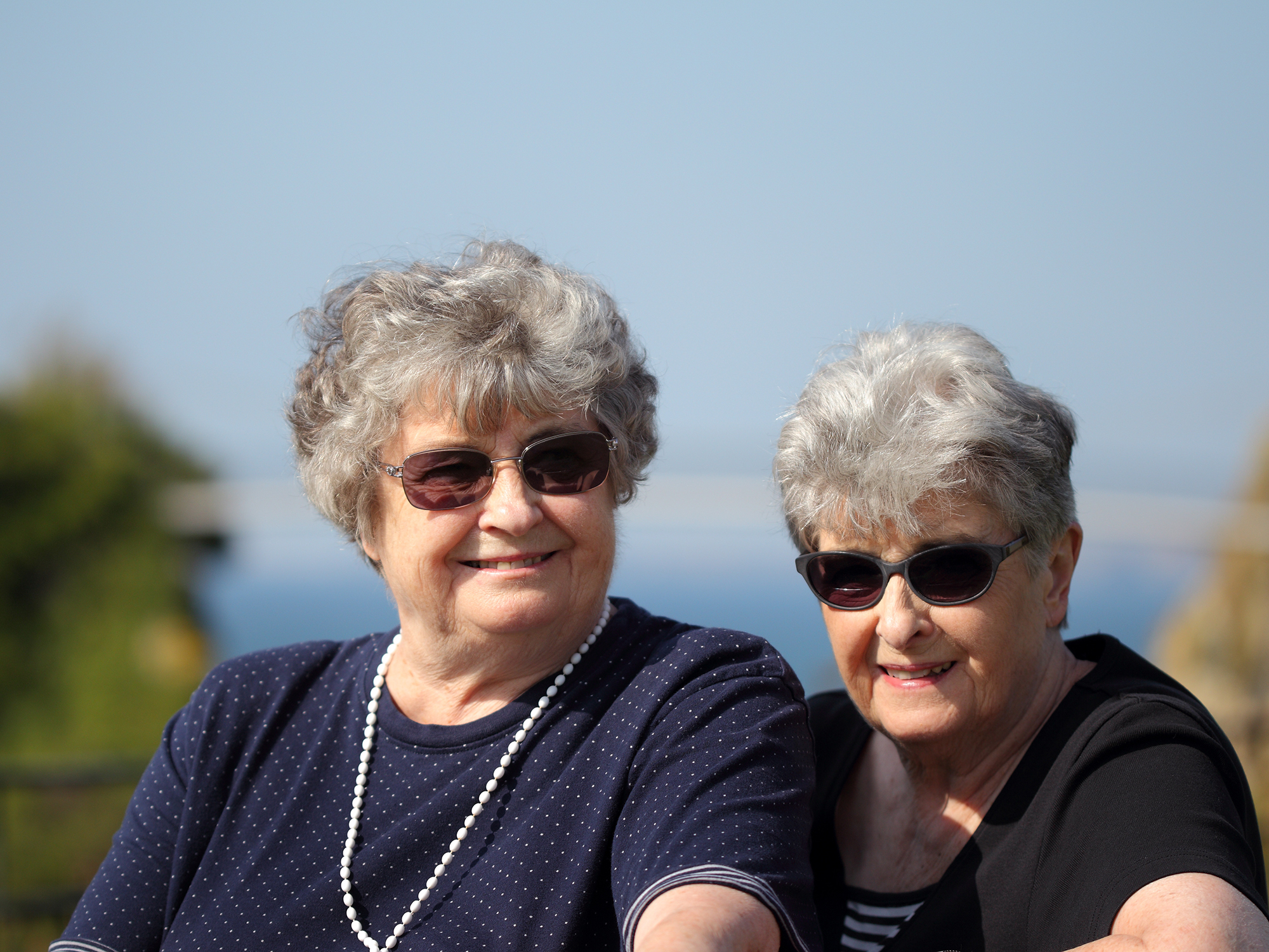 <p>Older twins are being used to research the brain’s genetic blueprint (Source: Shutterstock)</p>
