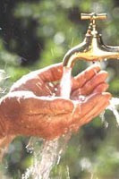 <p>Victorian Savewater Awards</p>
