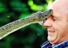 <p>What happens when you get too close</p>
