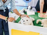 Paro the robotic seal is just one of the 'innovative' technologies used at the new RSL LifeCare facility (Source: Shutterstock)