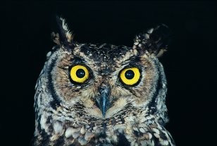 <p>Source: Thinkstock</p>
