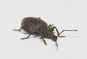 <p>Source: Thinkstock</p>
