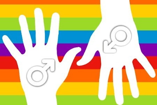 <p>Gay and lesbian rainbow flag with two hands</p>
