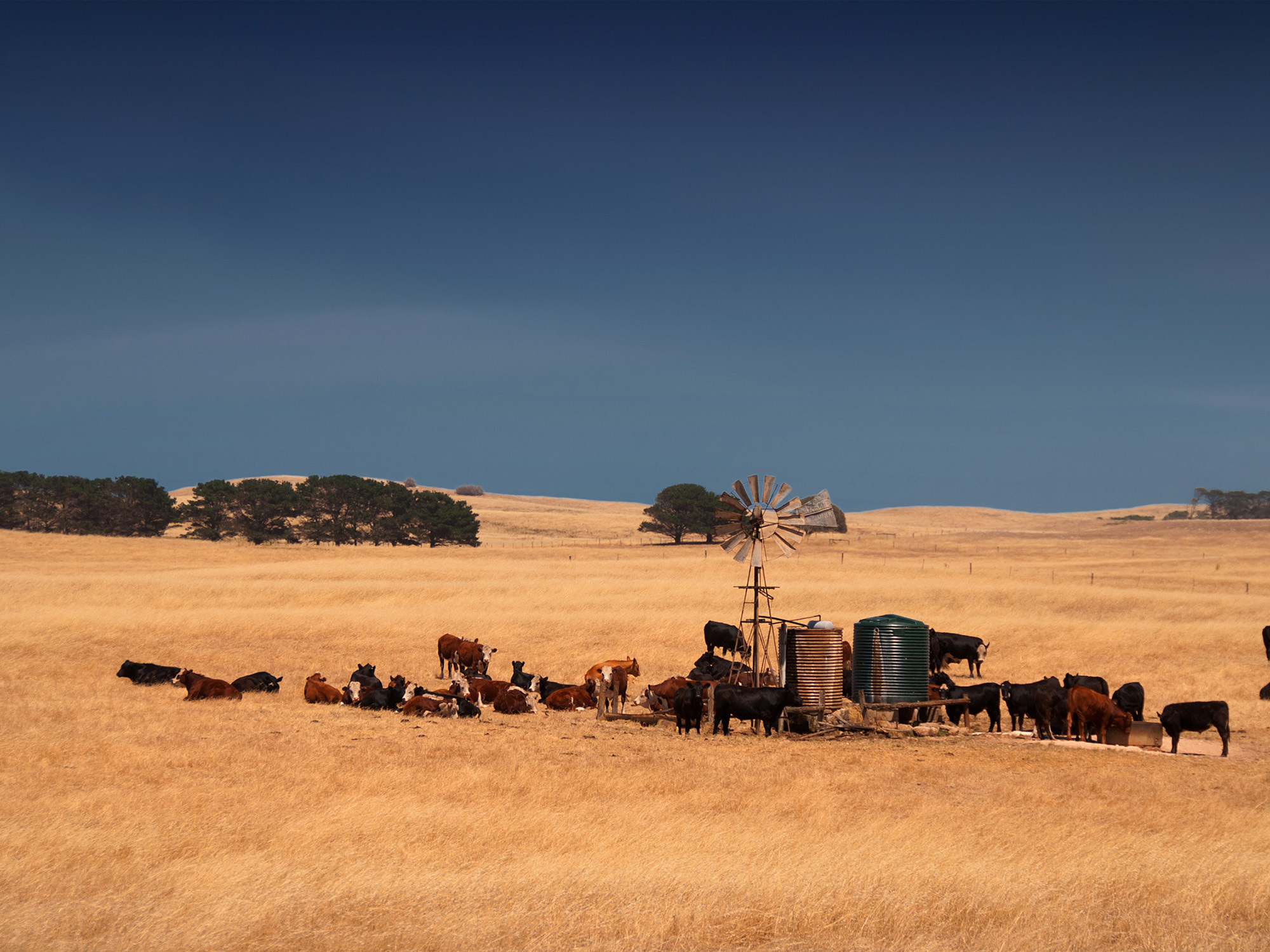 <p>​The Accord on the Remote Aged Care Workforce is one of the 14 actions put forward by the recent Aged Care Workforce Strategy (Source: Shutterstock)</p>
