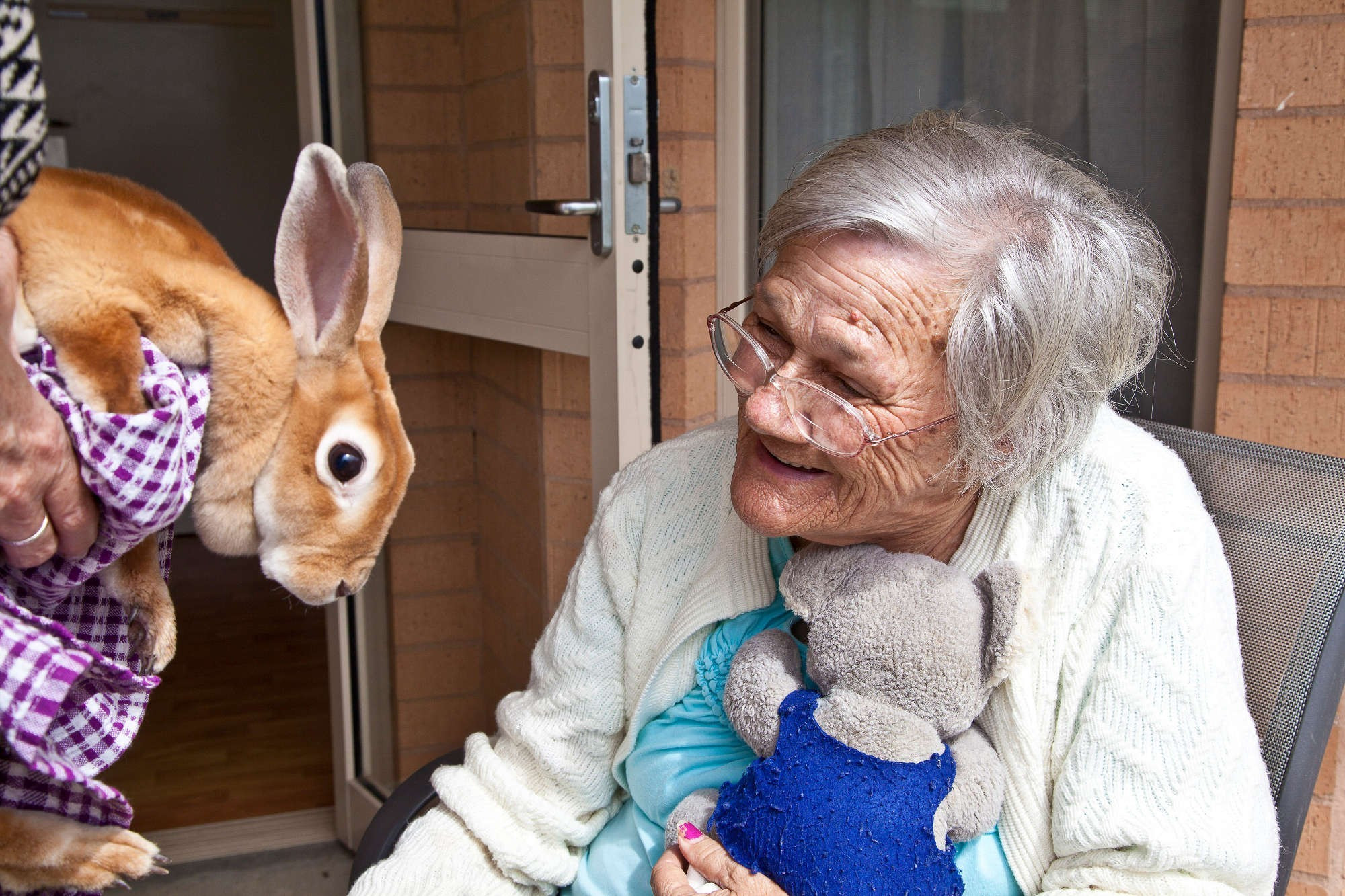 <p>Cathy Greenblat's photograph of animal visitors at NSW's aged care facility, Starrett Lodge.</p>
