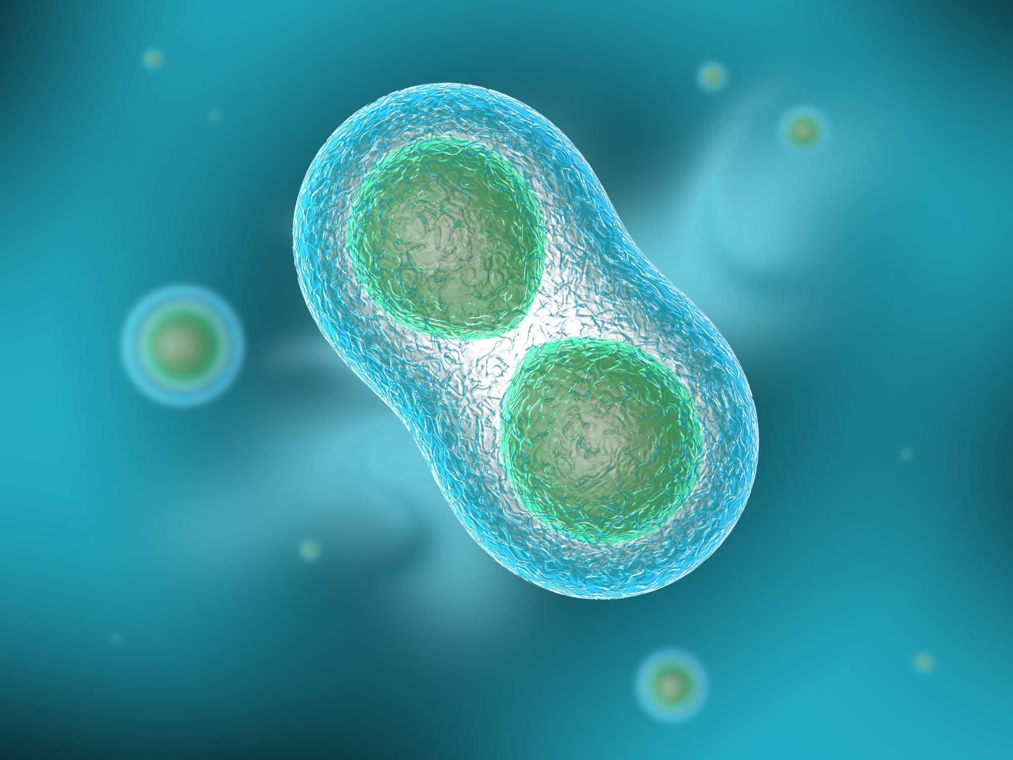 <p>A new study has raised the question as to whether care facilities need to be more physically structured like hospitals – including the abandonment of germ harbouring carpet for lino.</p>
