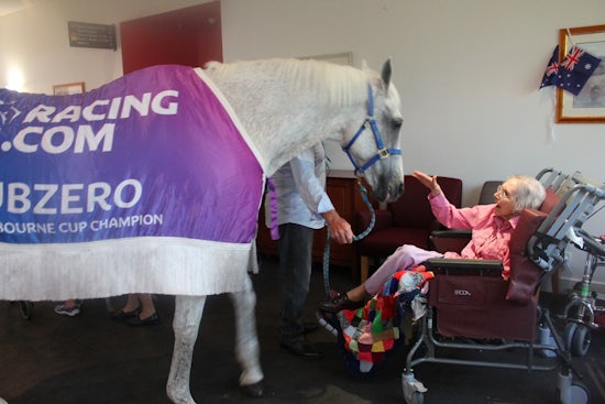 <p>Benetas St George's resident, Alice Gotts, says 'hello' to 1992 Melbourne Cup winner and champion horse ‘Sub Zero’.</p>
