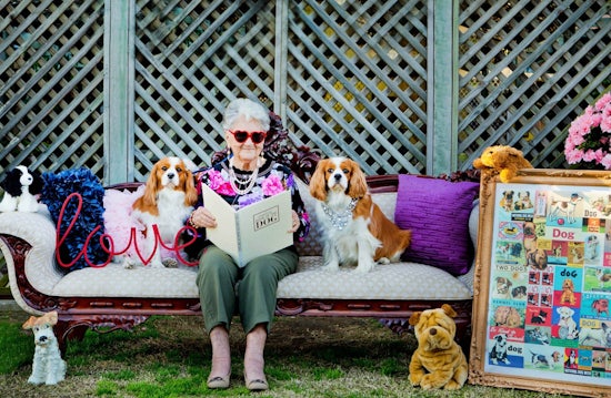 <p>Phyllis Meere, now known around Tabeel as 'Miss July', poses with Cavalier King Charles Spaniels and some jaunty red sunglasses in a new 'aged care' calendar.</p>
