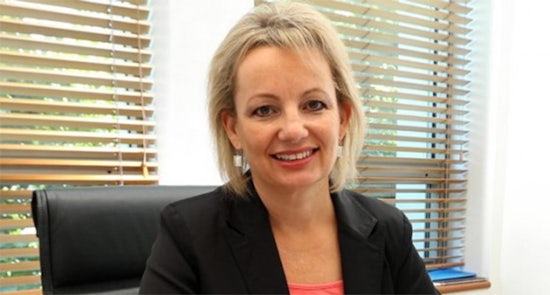 <p>Minister for Health Sussan Ley MP</p>
