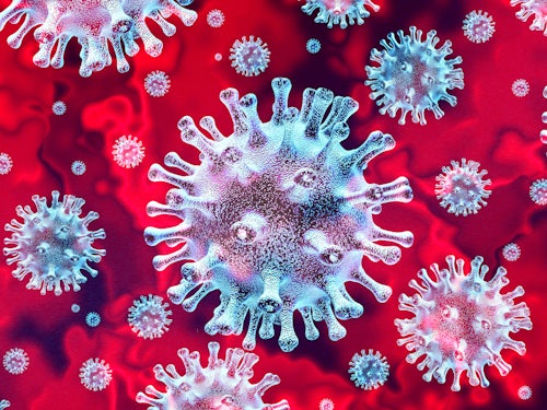 Link to Everything you need to know about coronavirus article