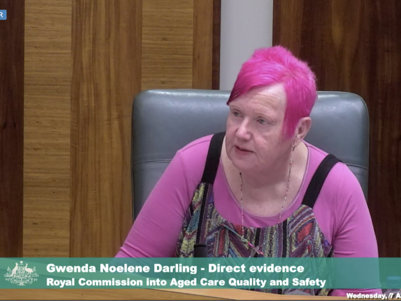 <p>Gwenda Darling says she is reluctant to raise issues with the Aged Care Quality and Safety Commission again</p>
