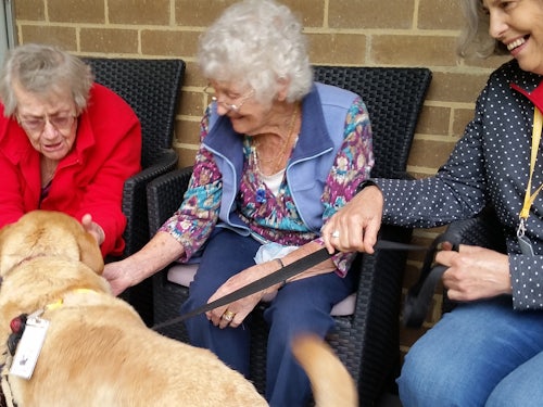 Link to Animals warm the hearts and laps of aged care residents article