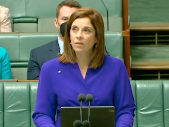 <p>Minister for Aged Care, Anika Well, introduced the two aged care reform bills into Parliament on Wednesday. [Source: Twitter]</p>
