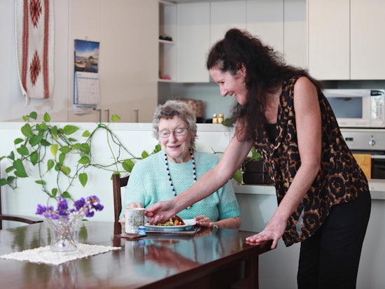 <p>Home Instead Senior Care have created the Making Home Safer for Seniors guide to prepare seniors with practical solutions to foolproof their home for winter. [Source: Home Instead Senior Care]</p>
