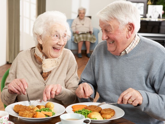 <p>The released position statement from Dietitians Australia includes other key recommendations that would promote best possible nutrition care for older Australians in nursing homes. [Source: iStock]</p>
