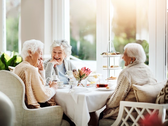 <p>SRS is an accommodation and support option for people of all ages groups, including those who are older or living with disability, who may need more help with everyday activities. [Source: iStock]</p>
