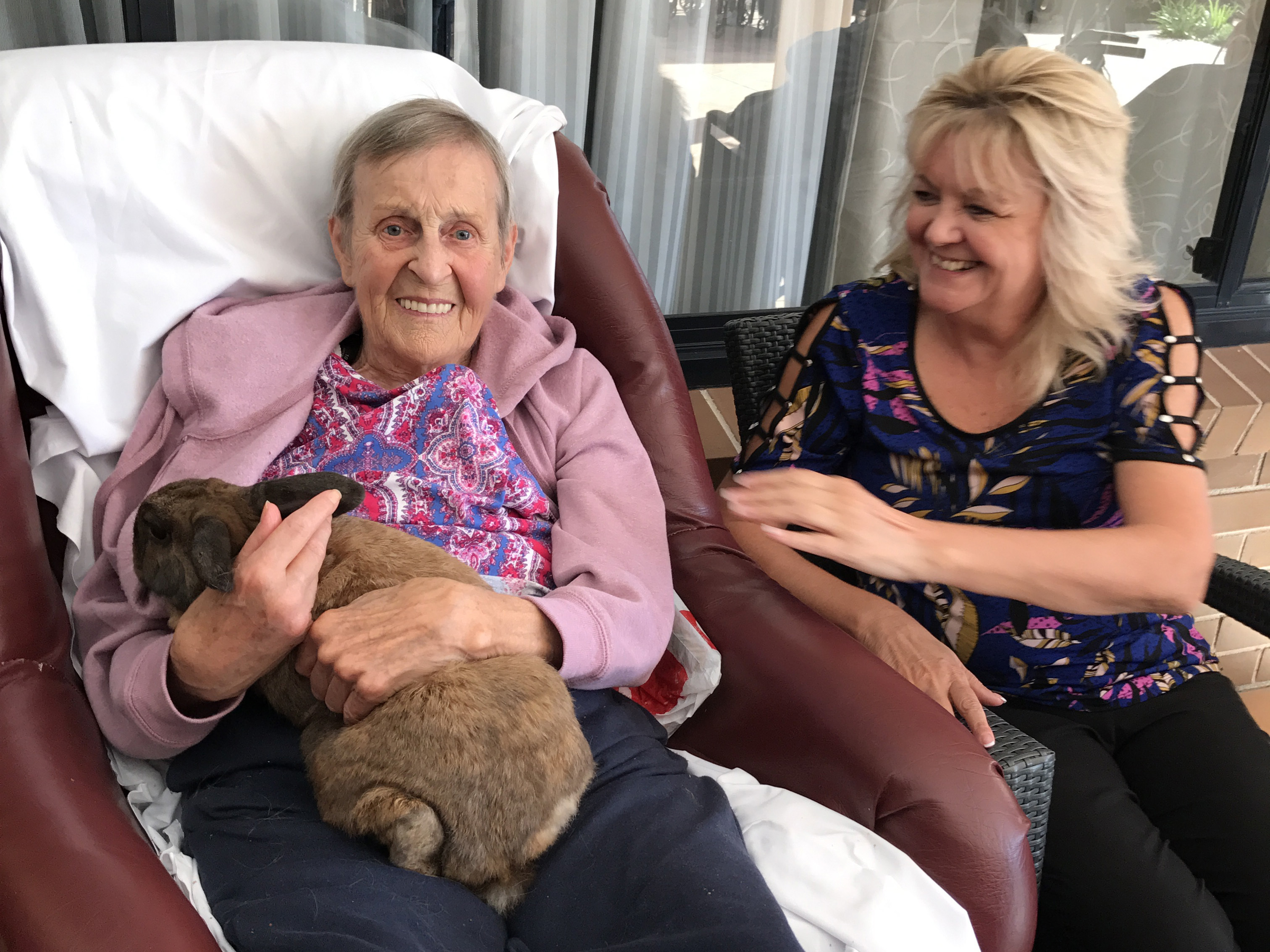 Link to Petting zoo therapy at SummitCare St Marys article