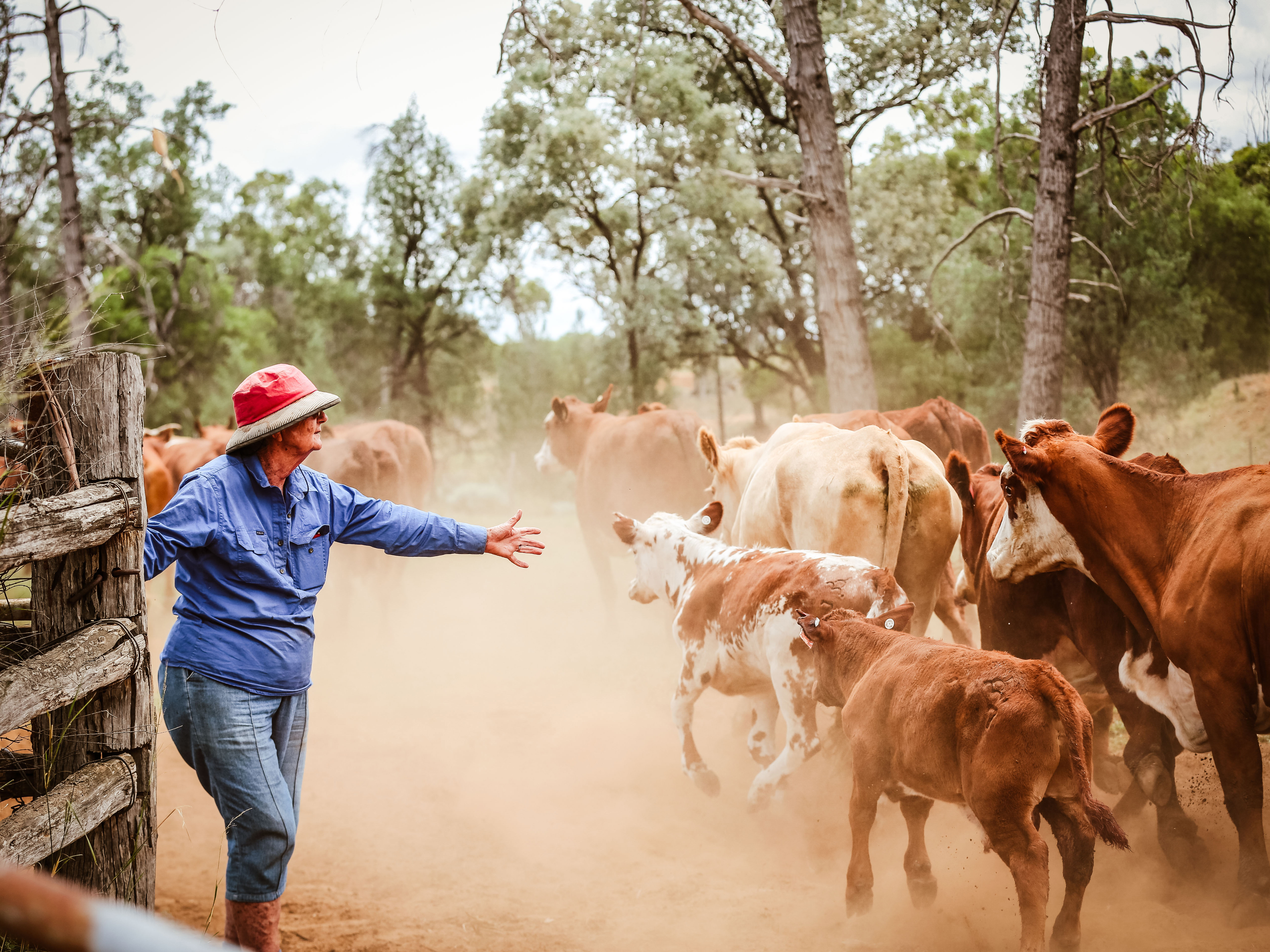 <p>The “My Home, My Place” report released by Horizon Housing shows many elderly people in rural and remote areas can’t age in place. [Source: Horizon Housing]</p>
