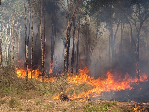 Link to Bushfire affected aged care facilities and services facing challenges article