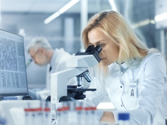 <p>This project will be the biggest in the world for dementia research and will be focusing on Tasmanian participants, since Tasmania has a high rate of dementia risk factors. [Source: Shutterstock]</p>
