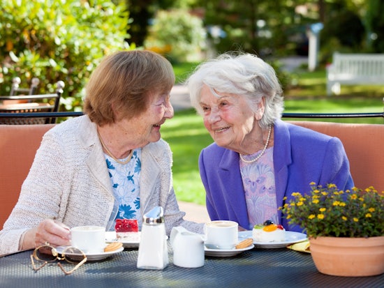 <p>Innovative ideas are being sought to assist older people to continue to engage and enjoy their lifestyle (Source: Shutterstock)</p>
