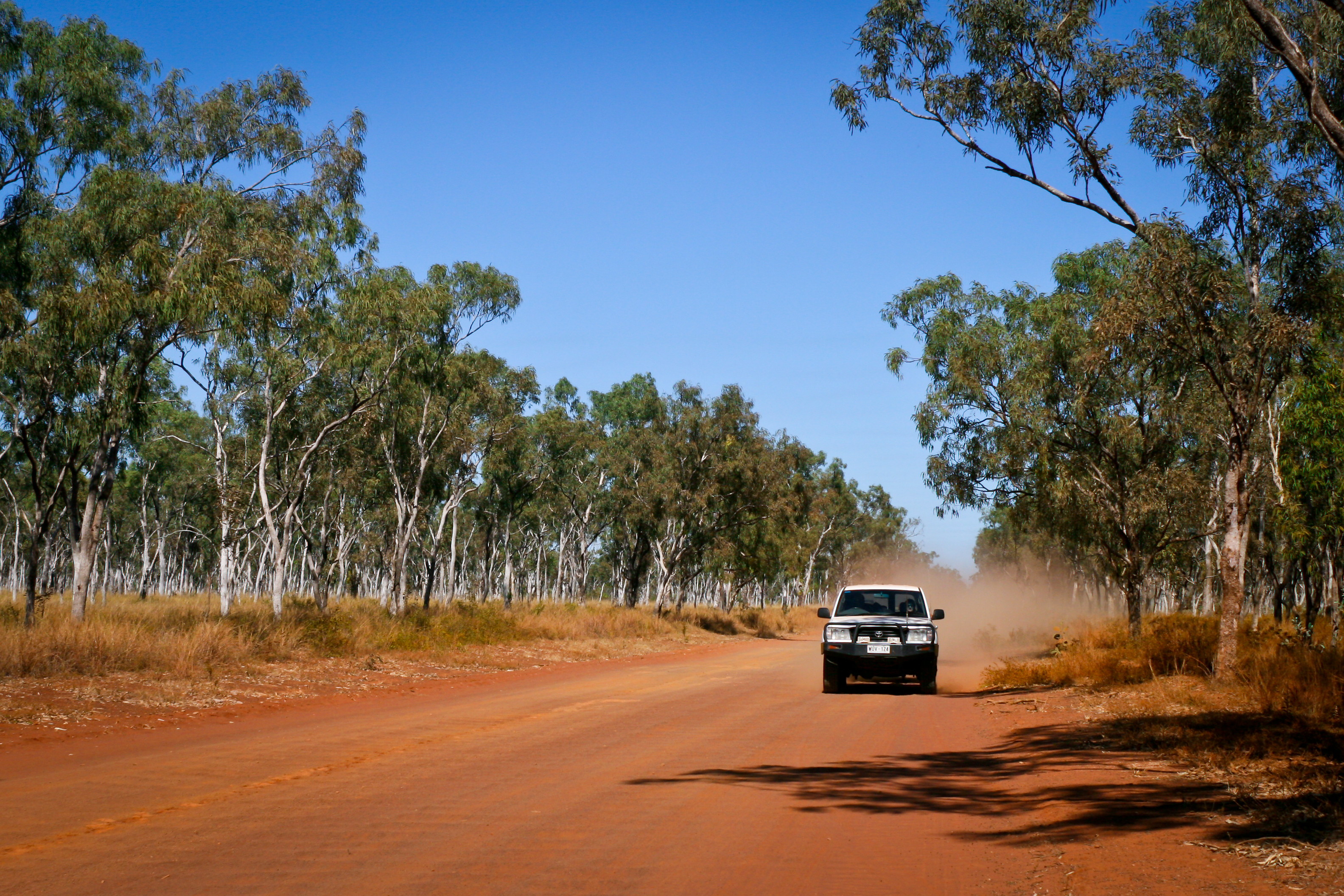 <p>Applications for the second round of the Government’s NATSIFAC program close on 20 March 2019. (Source: Shutterstock)</p>
