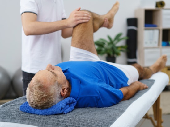 <p>Eleven people were hired posing as registered physiotherapists or occupational therapists when they had no such qualifications. [Source: Shutterstock].</p>
