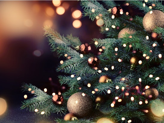 <p>The staff at Talking Aged Care and DPS Publishing wish you a Merry Christmas and a Happy New Year (Source: Shutterstock)</p>

