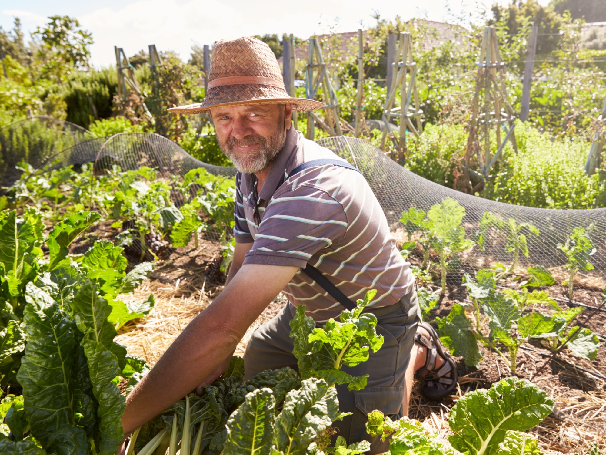 There are lots of different community activities available that can help fill your retirement days. [Source: Shutterstock]
