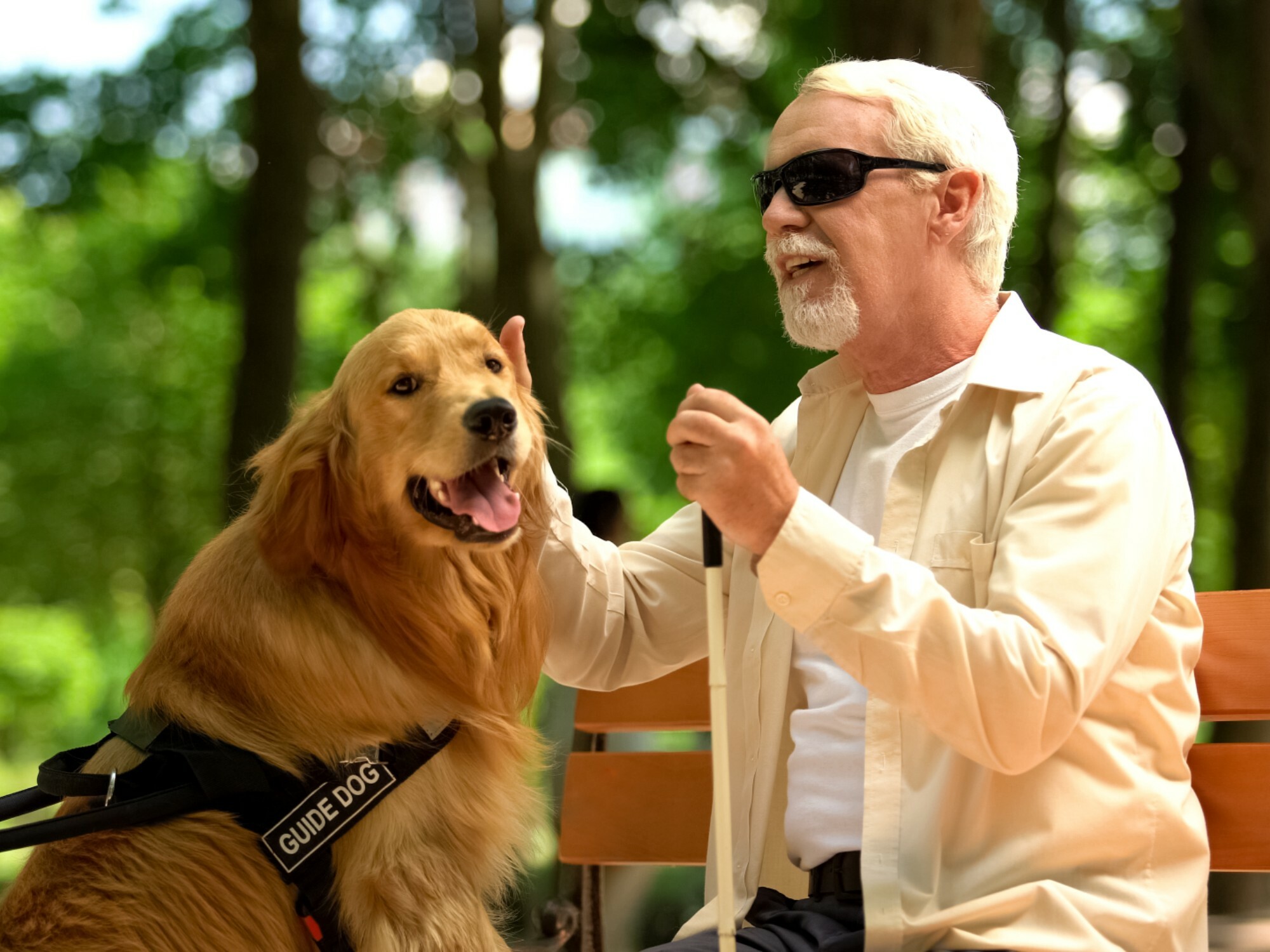 Older man with his guide dog