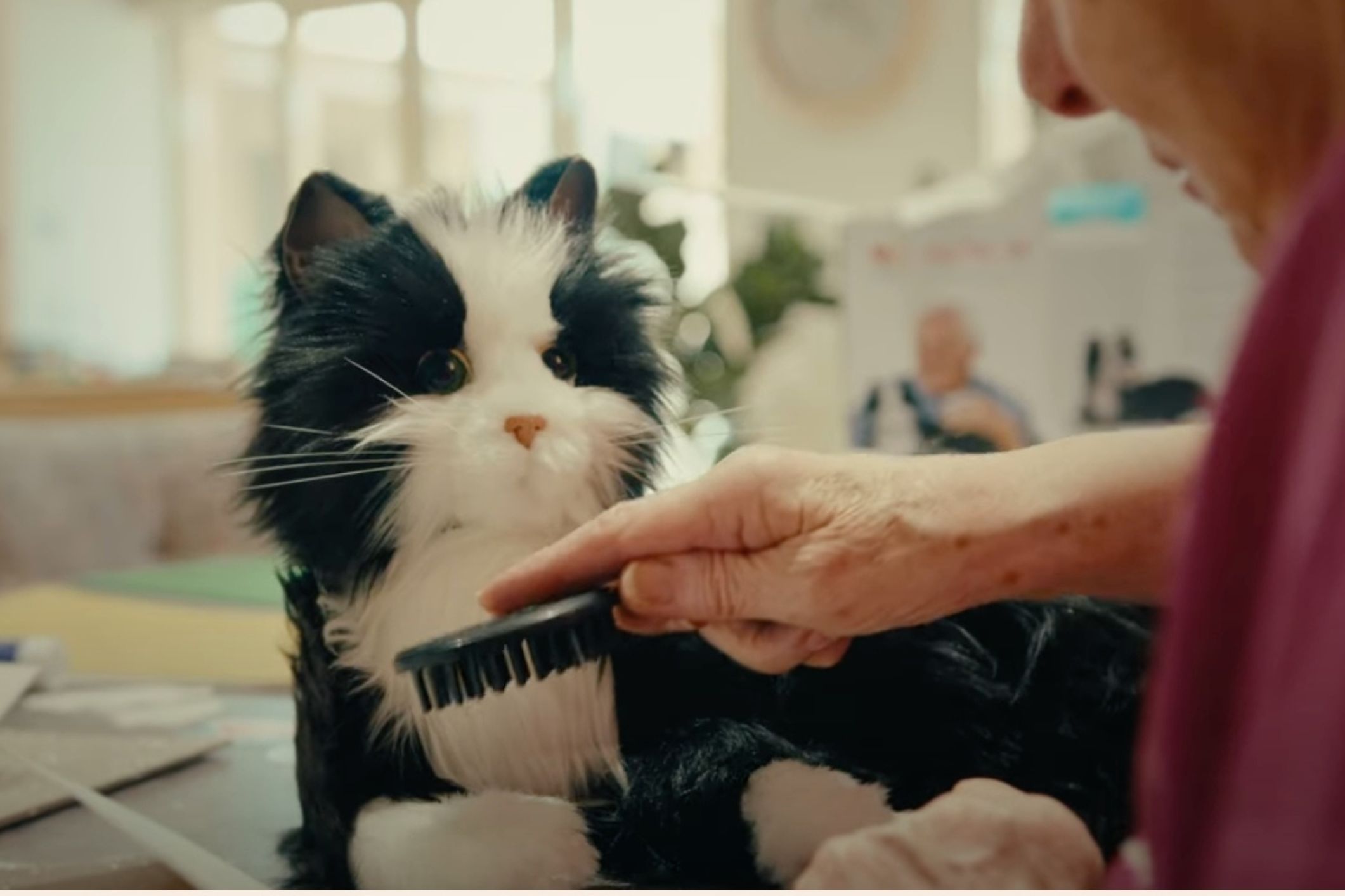 Link to Friendly and futuristic: how robots are changing life in aged care article