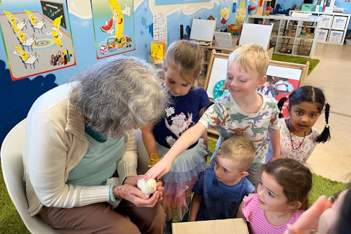 Link to Birds of wisdom: Cranbrook Care brings baby chickens to school article